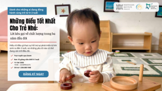 Hội Nghị Montessori Online: Điều Tốt Nhất Cho Những Năm Đầu Đời – Lời kêu gọi về chất lượng trong ba năm đầu đời