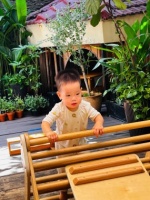 The Growth Journey of Võ Minh Đăng The Growth Journey of Võ Minh Đăng