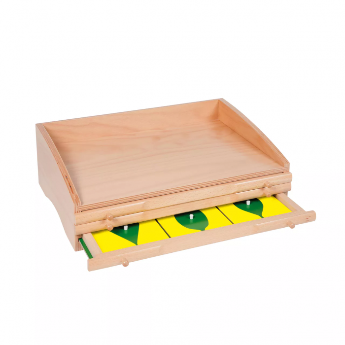 Tủ thực vật (Botany Cabinet)